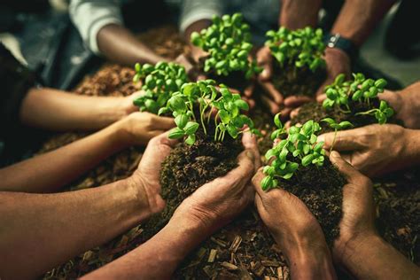 Eco: Ett overjämt spel om samarbete och hållbar utveckling!